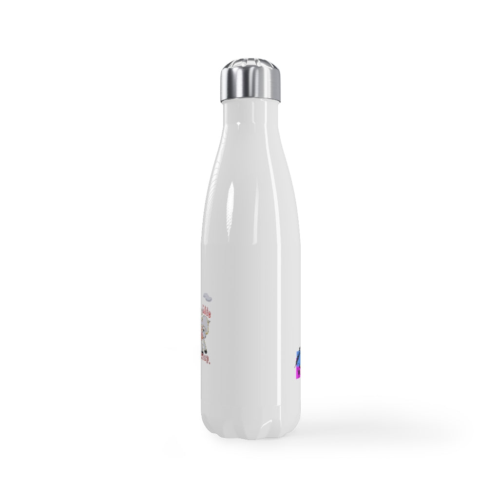 Stainless Steel Water Bottle, 17oz