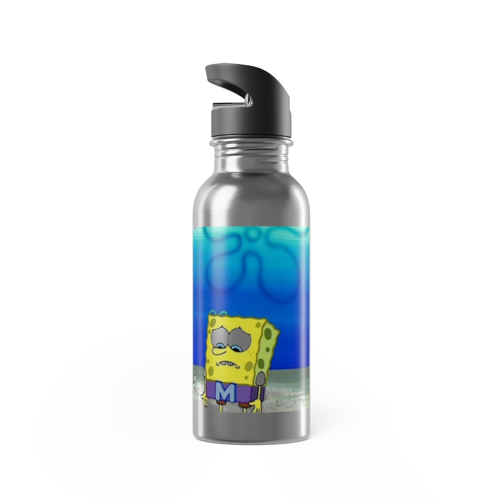 Stainless Steel Water Bottle With Straw, 20oz