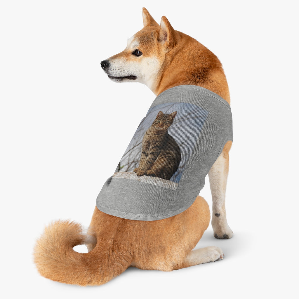 Copy of Pet Tank Top