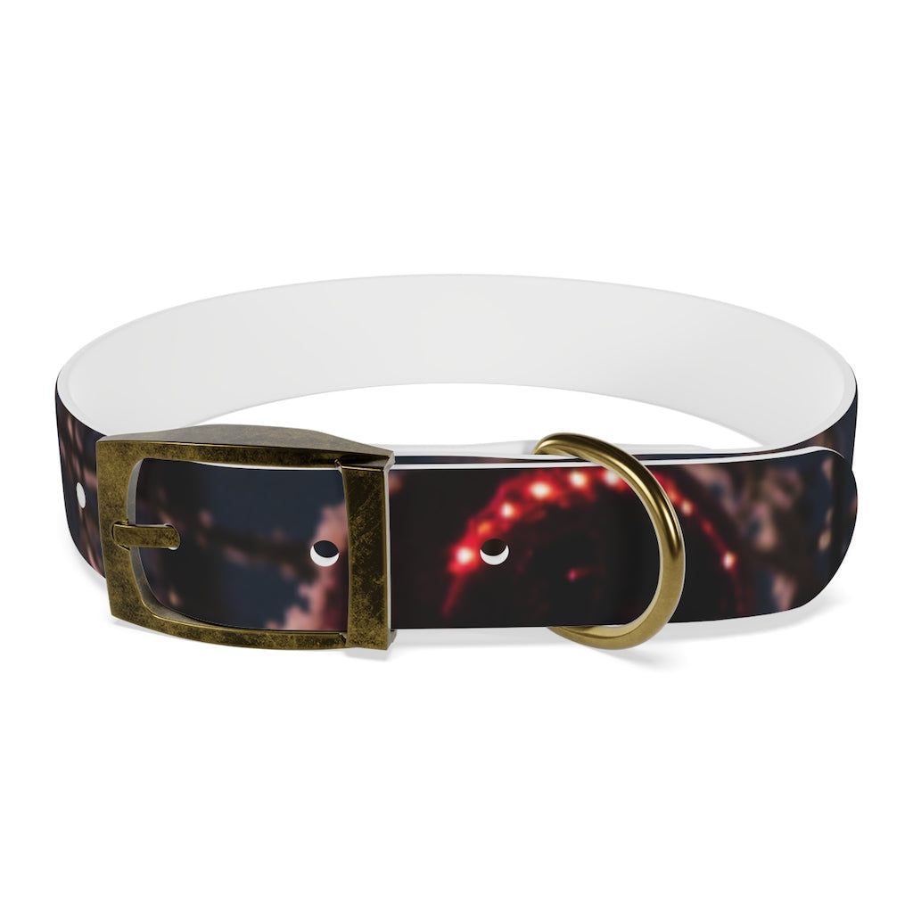 Dog Collar