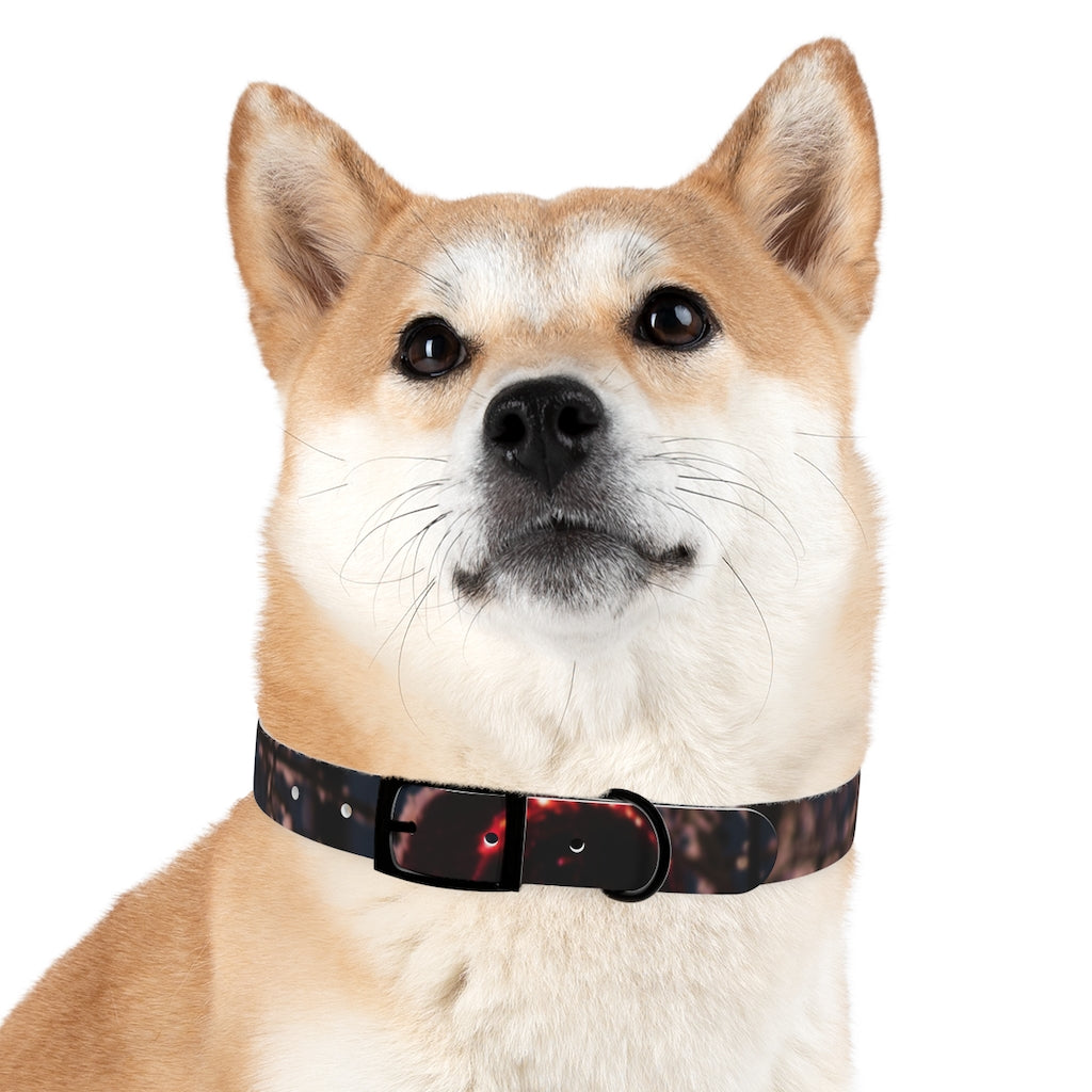 Dog Collar