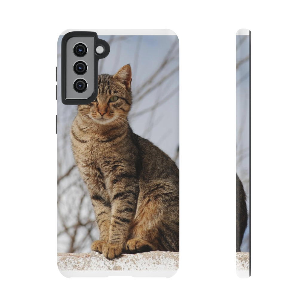 Tough Cases - preview test