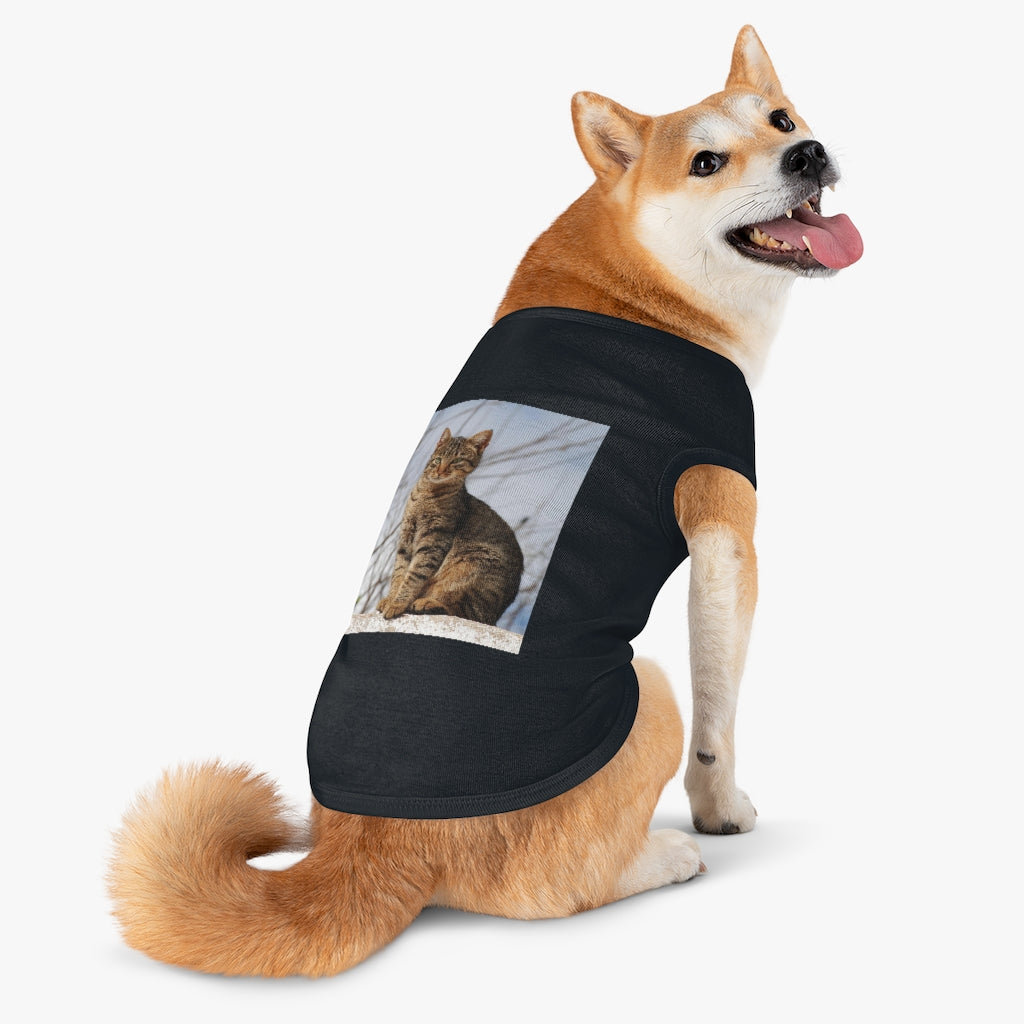 Pet Tank Top