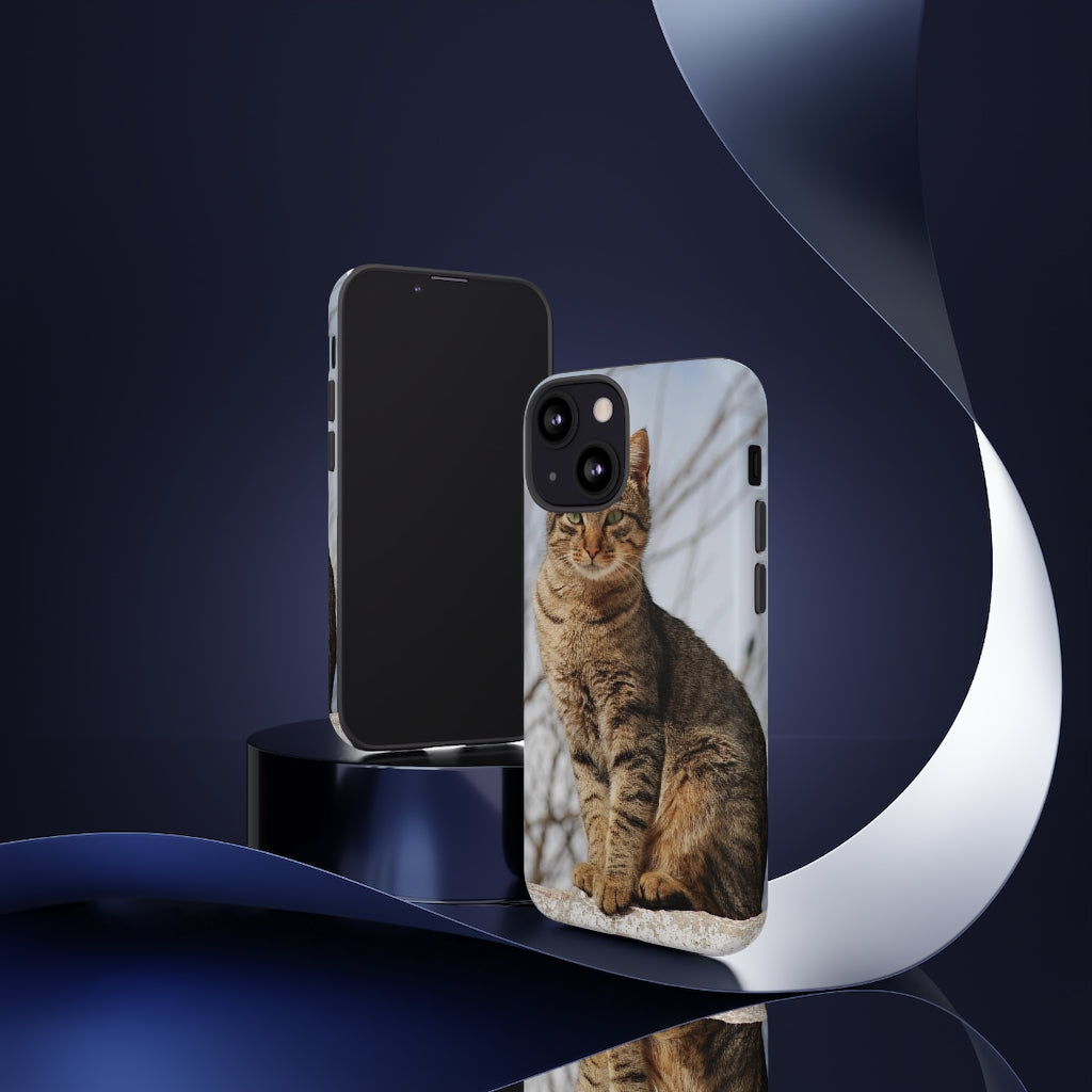 Tough Cases - preview test