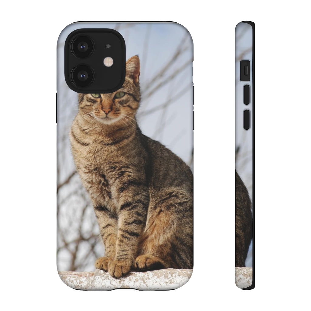 Tough Cases - preview test