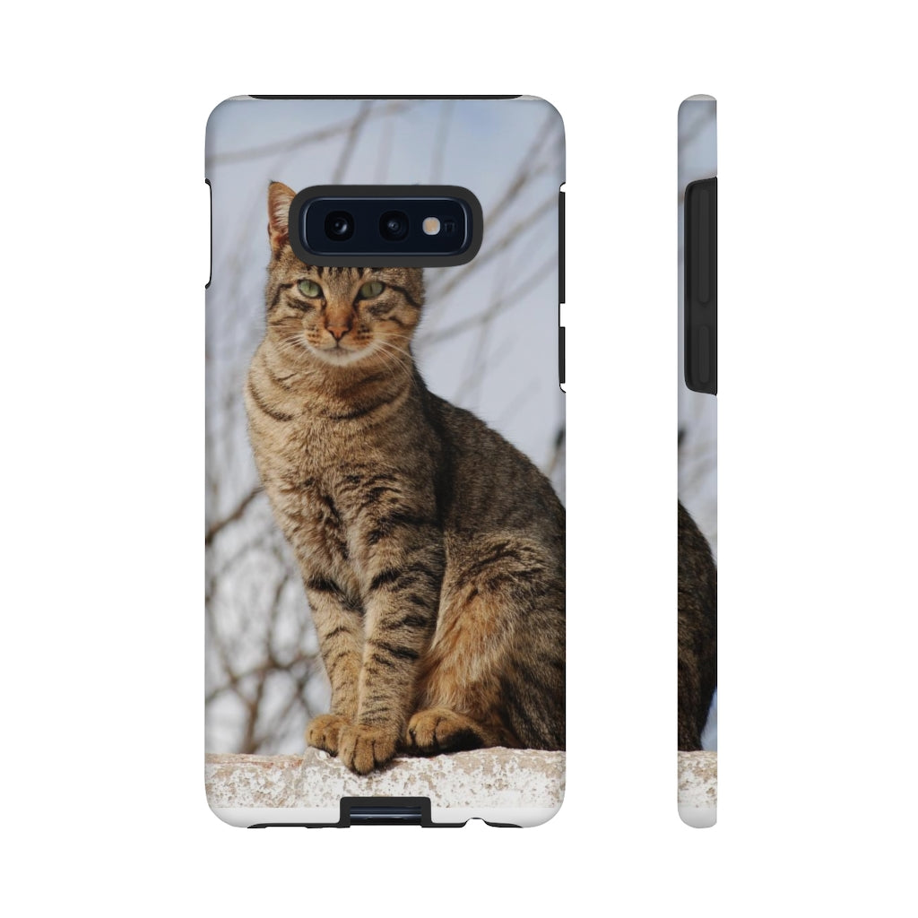 Tough Cases - preview test