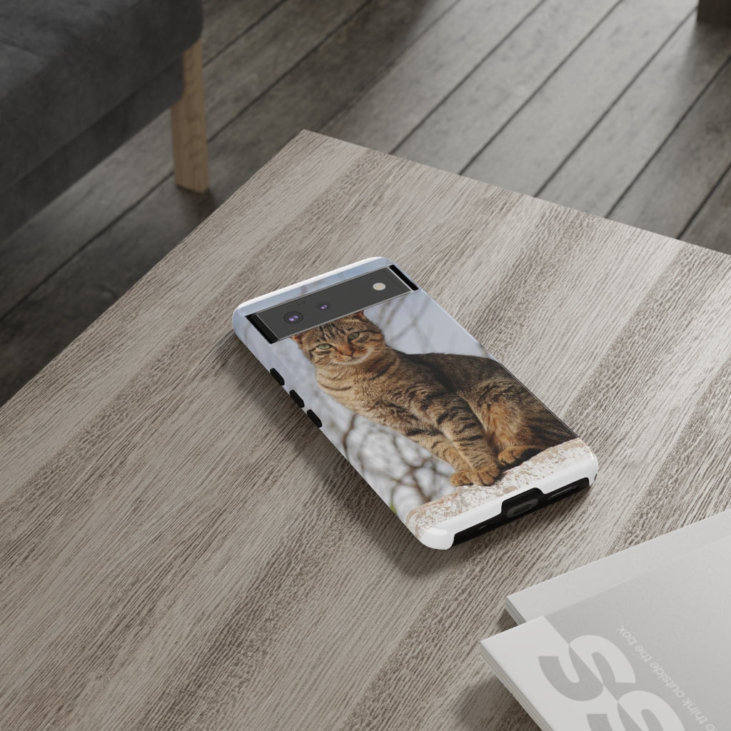 Tough Cases - preview test