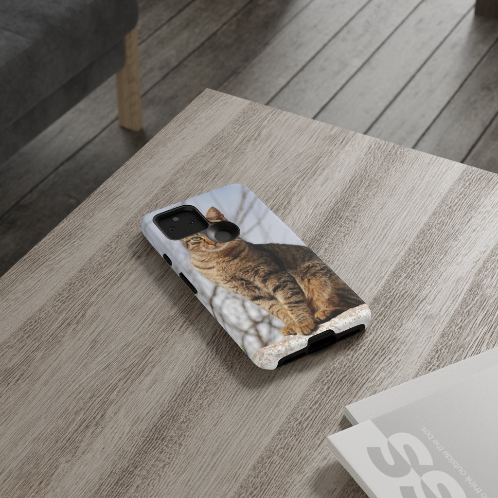 Tough Cases - preview test