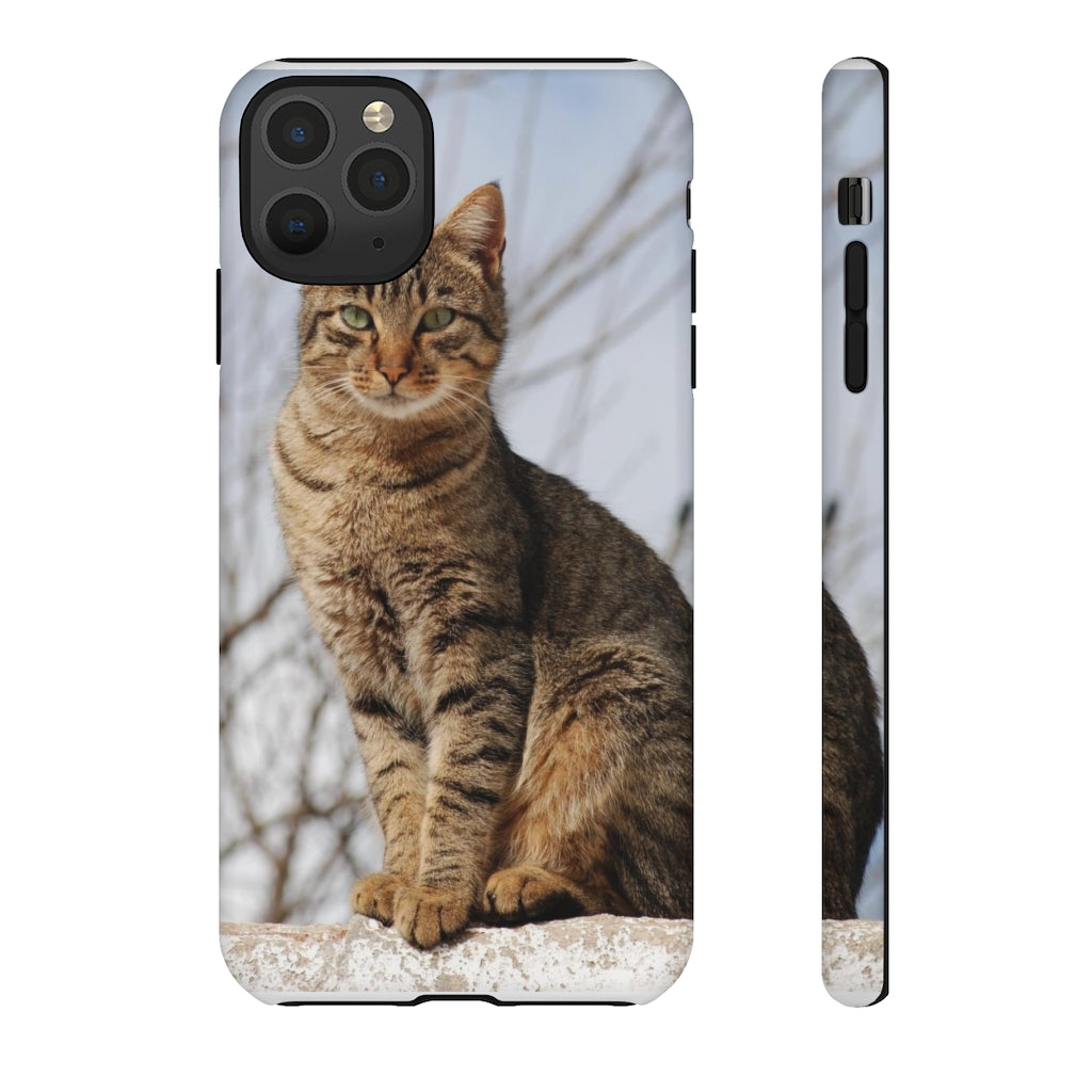 Tough Cases - preview test