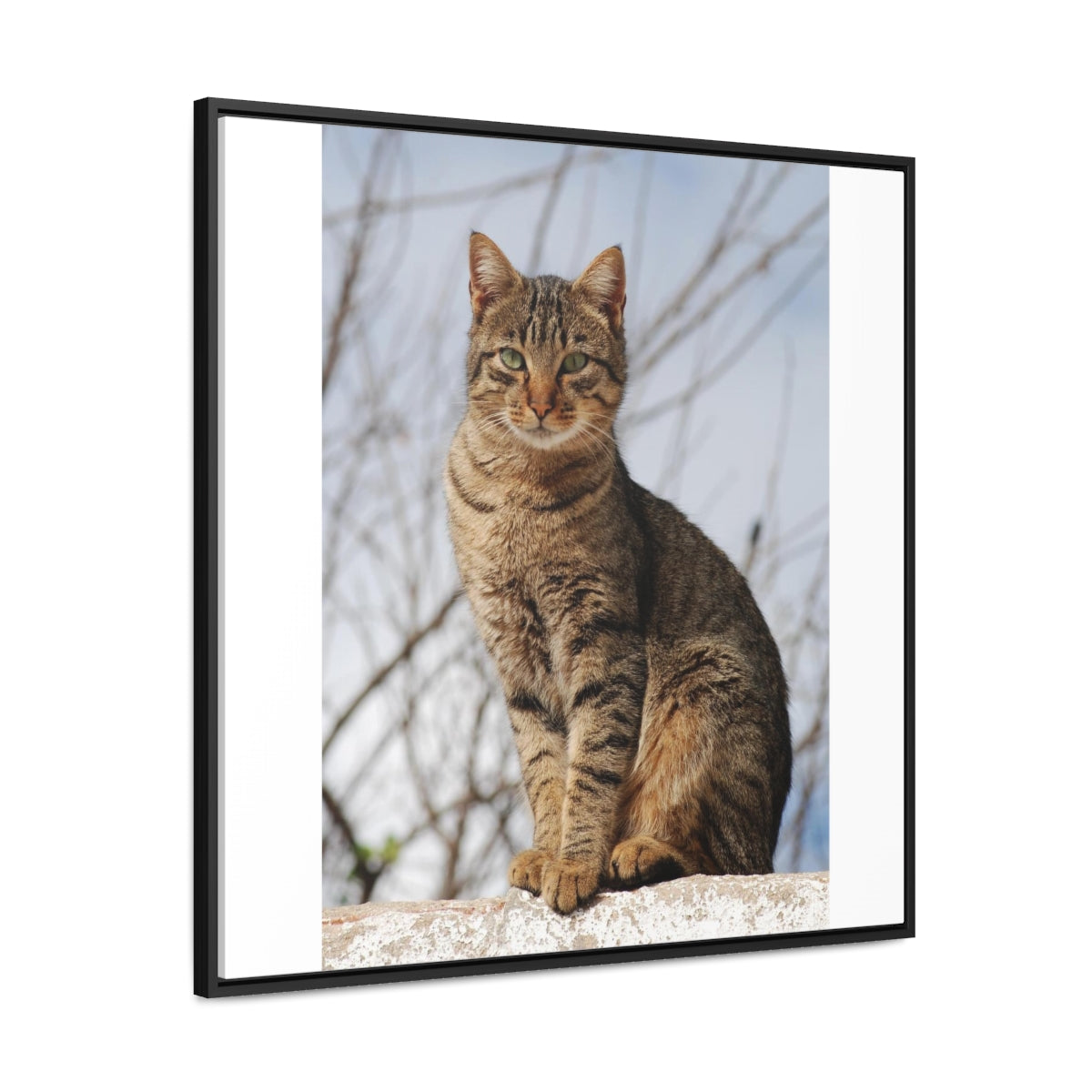 Gallery Canvas Wraps, Square Frame - preview test