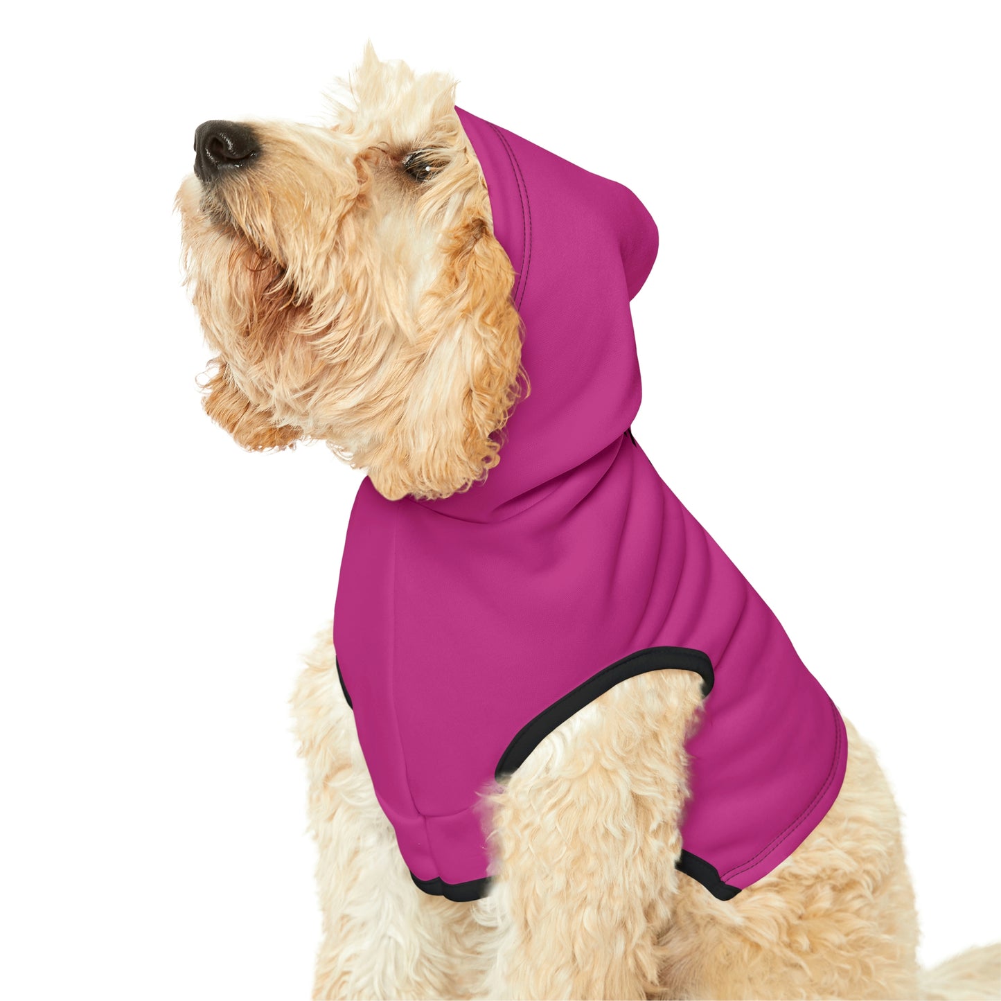 Dog Hoodie