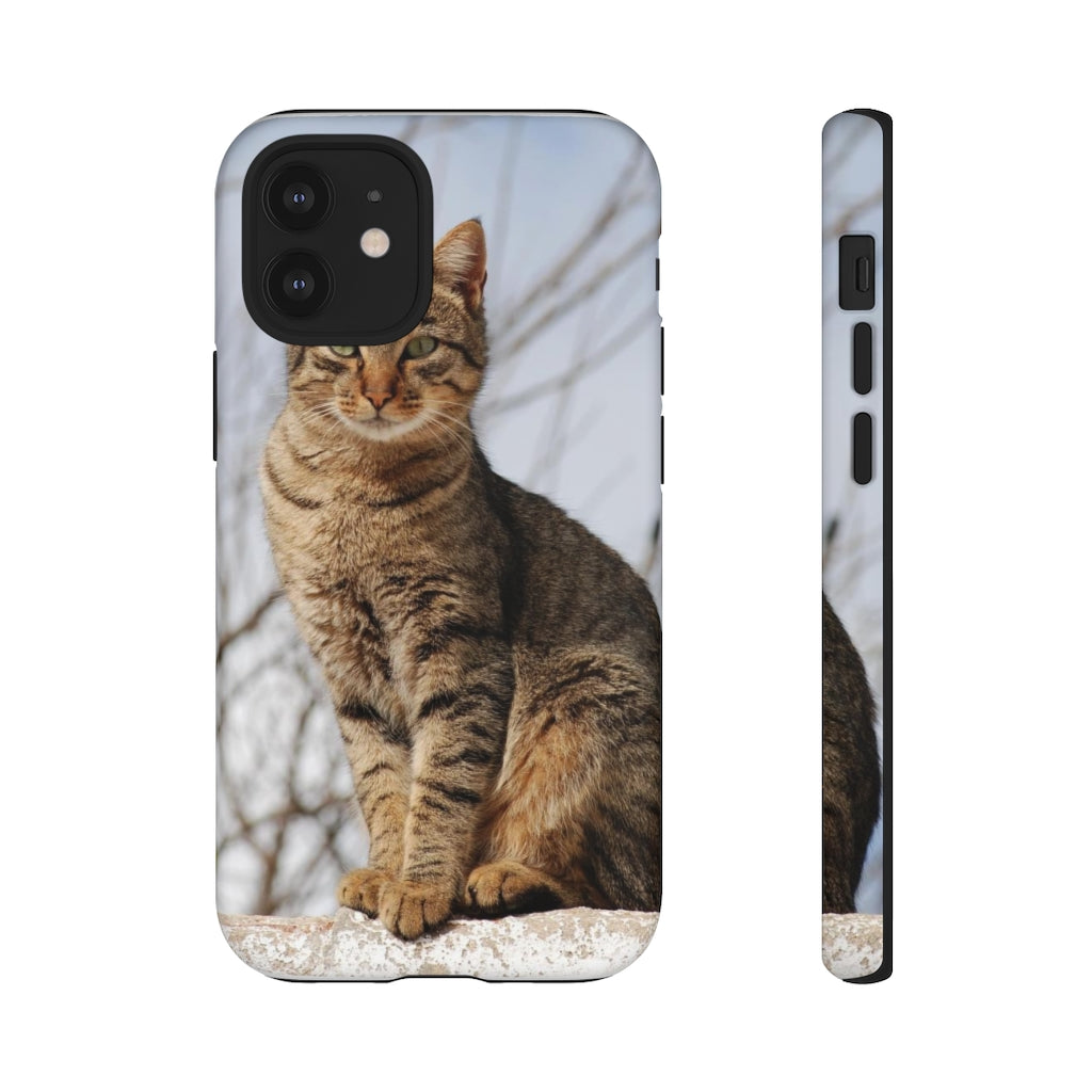 Tough Cases - preview test