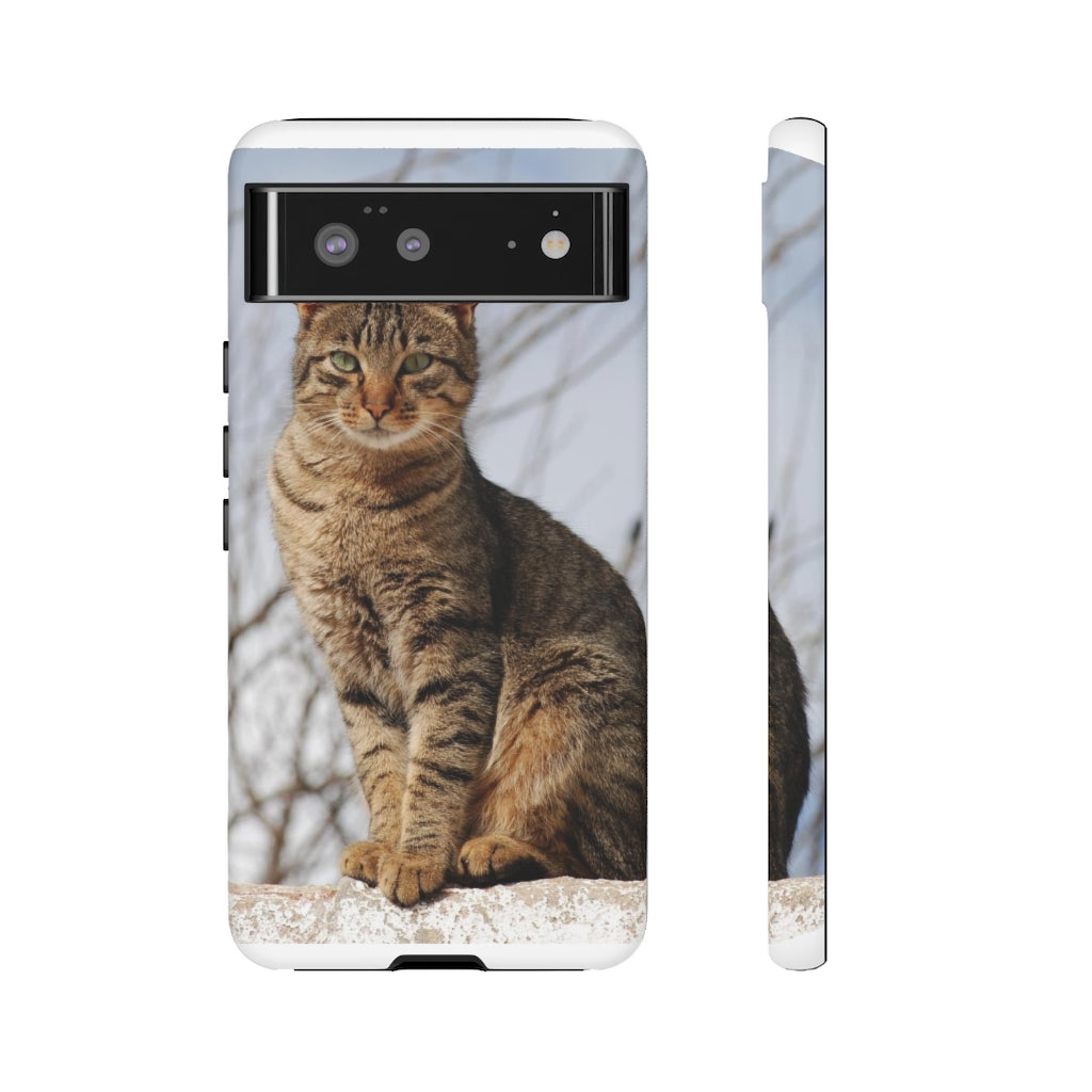 Tough Cases - preview test