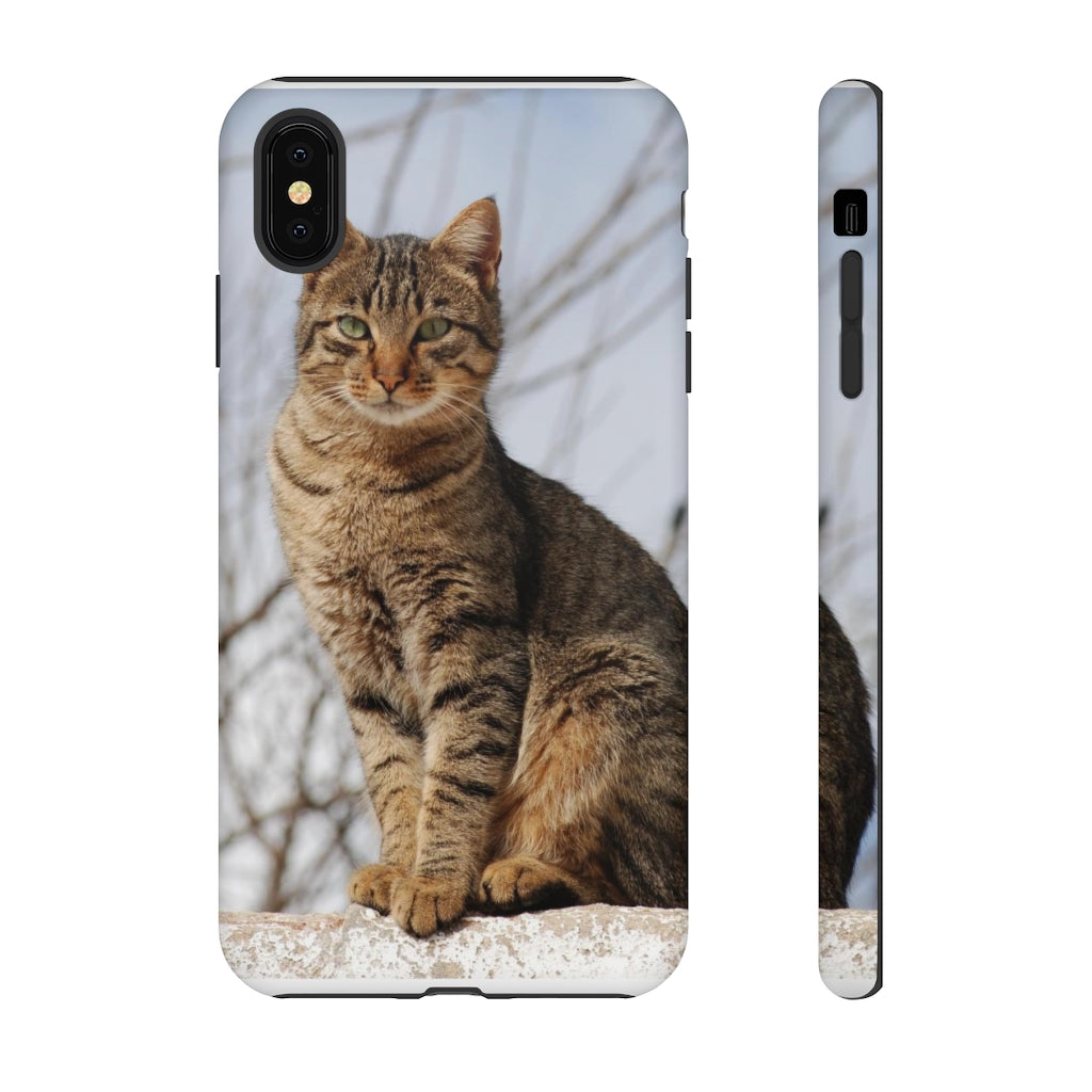 Tough Cases - preview test