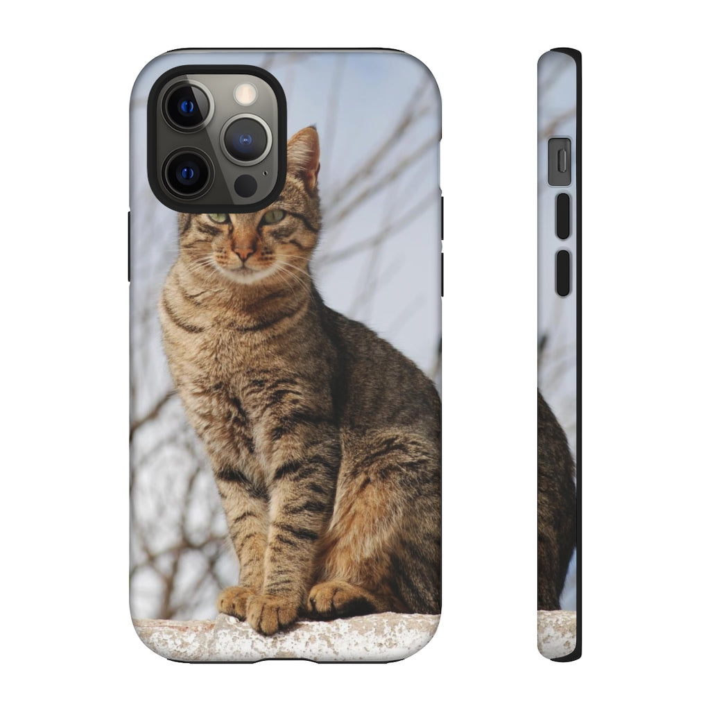 Tough Cases - preview test