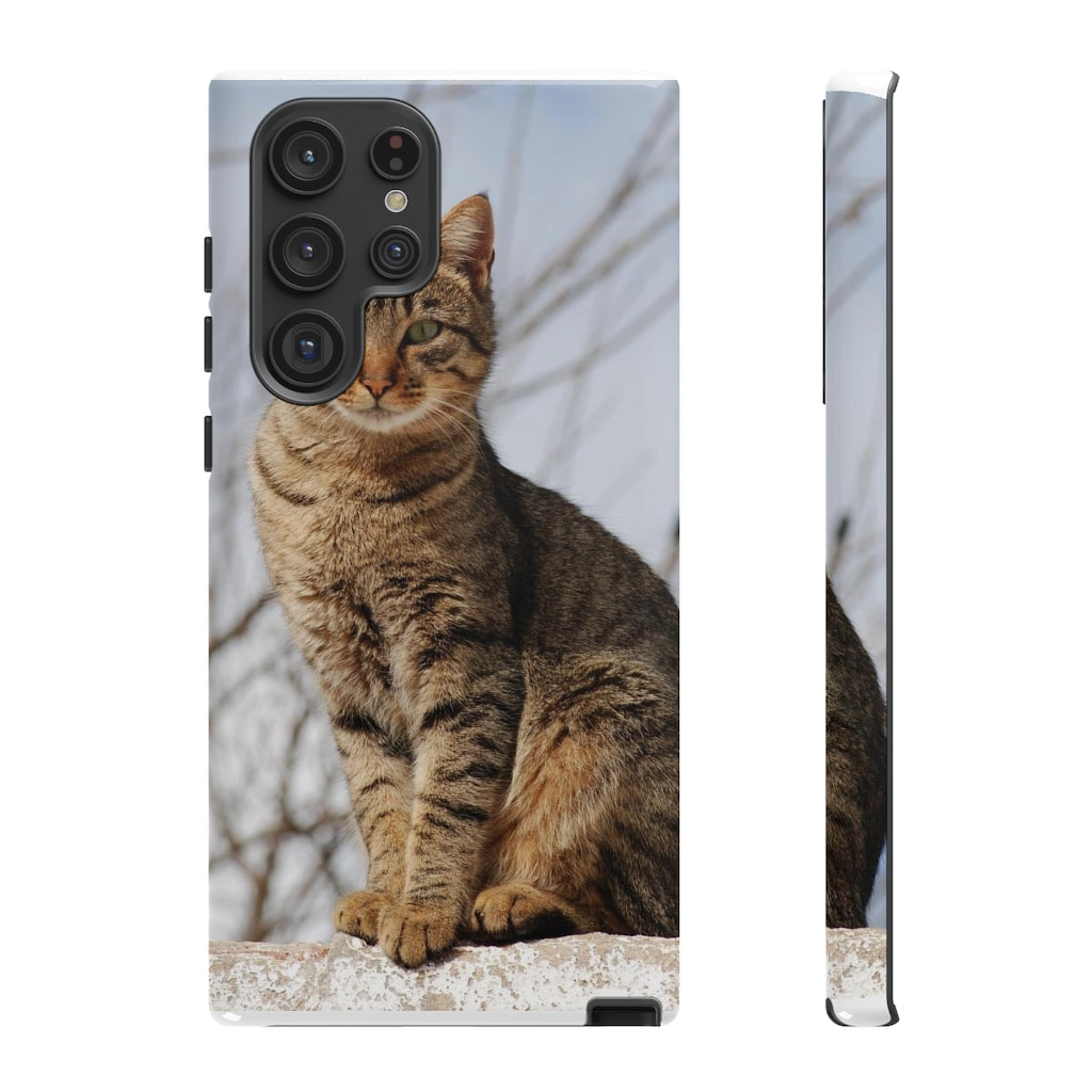 Tough Cases - preview test